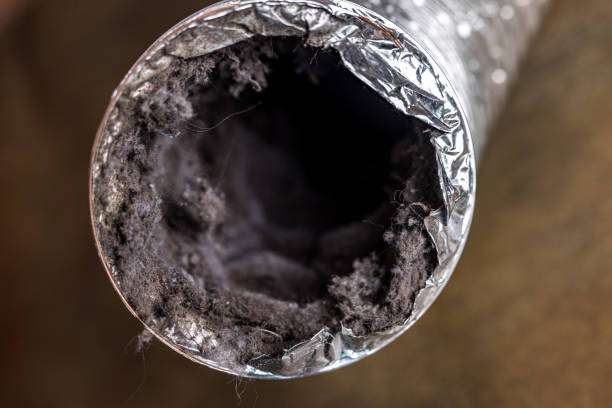 Best Air Vent Cleaning Services  in Novato, CA